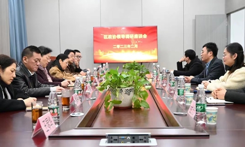 The main leaders of the District CPPCC visited the research committee companies-T-Create